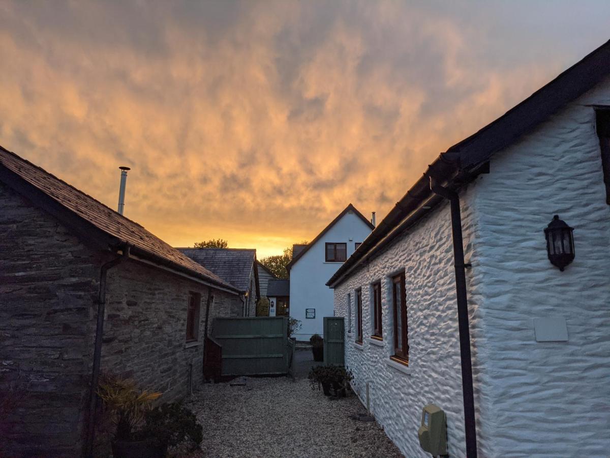 Croft Farm & Celtic Cottages Cardigan Esterno foto
