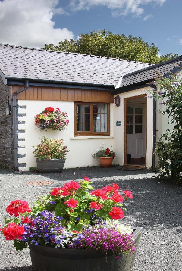 Croft Farm & Celtic Cottages Cardigan Esterno foto